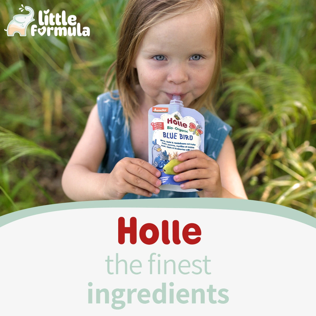 Holle Apple Ant – Organic Fruit Pouches 6+ months (100g)