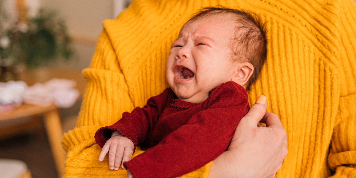 Comfort & Anti-Reflux Formula