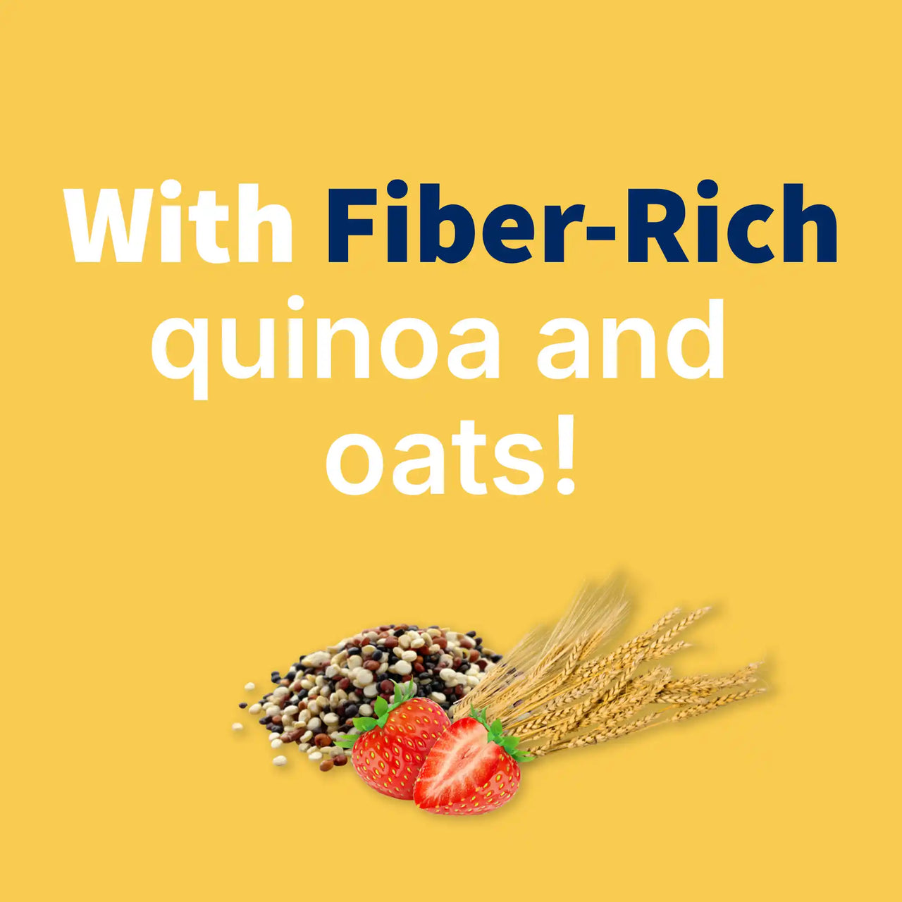 Holle Tiger Porridge  - Organic Fruit Pouches 12+ months (110g)