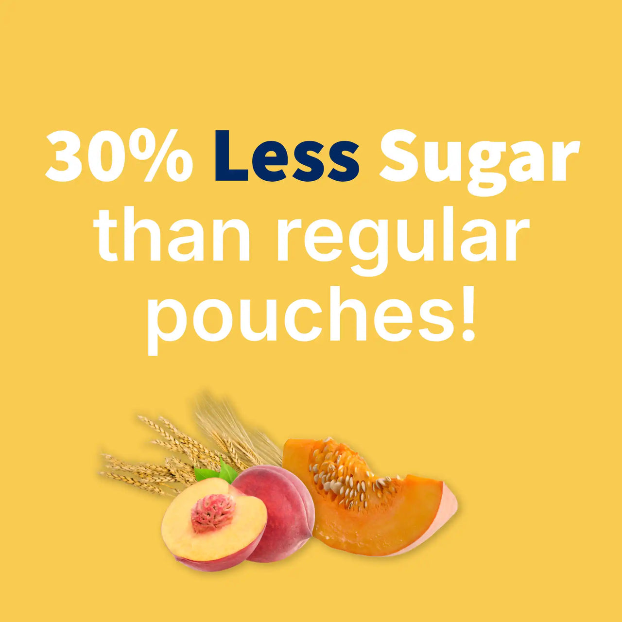 Holle Paca Pumpkin - Organic Veggie Pouches 6+ months (100g)