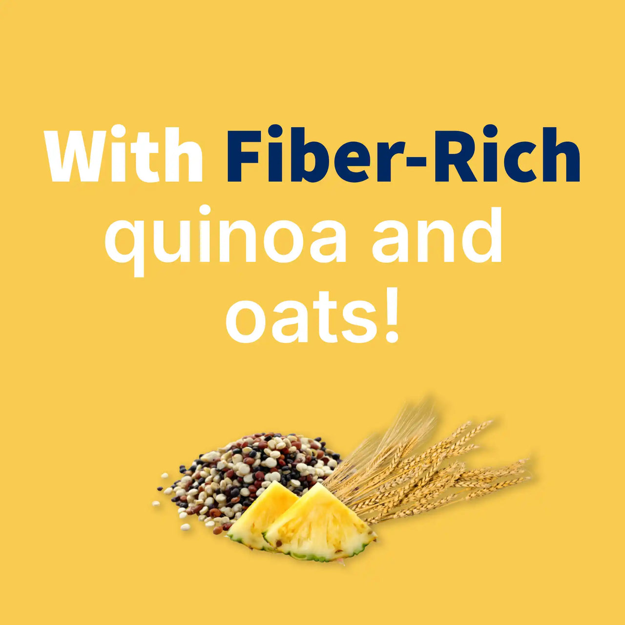 Holle Lion Porridge  - Organic Fruit Pouches 12+ months (110g)