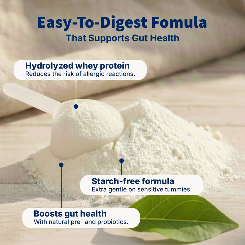 HiPP HA Combiotik Stage 2 – Hypoallergenic Formula 6+ months, German Version (600g)