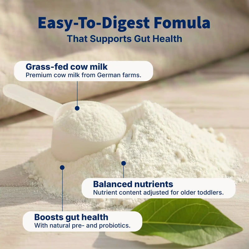 HiPP Combiotik 2+ years – Organic Cow Milk Formula 2+ years, German Version (600g)