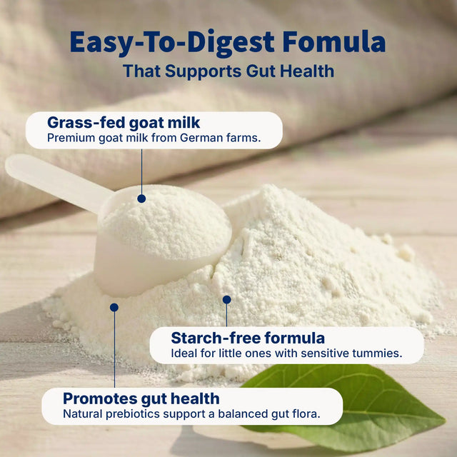 HiPP Goat Stage 2 – Organic Goat Milk Formula 6-12 months, German Version (400g)