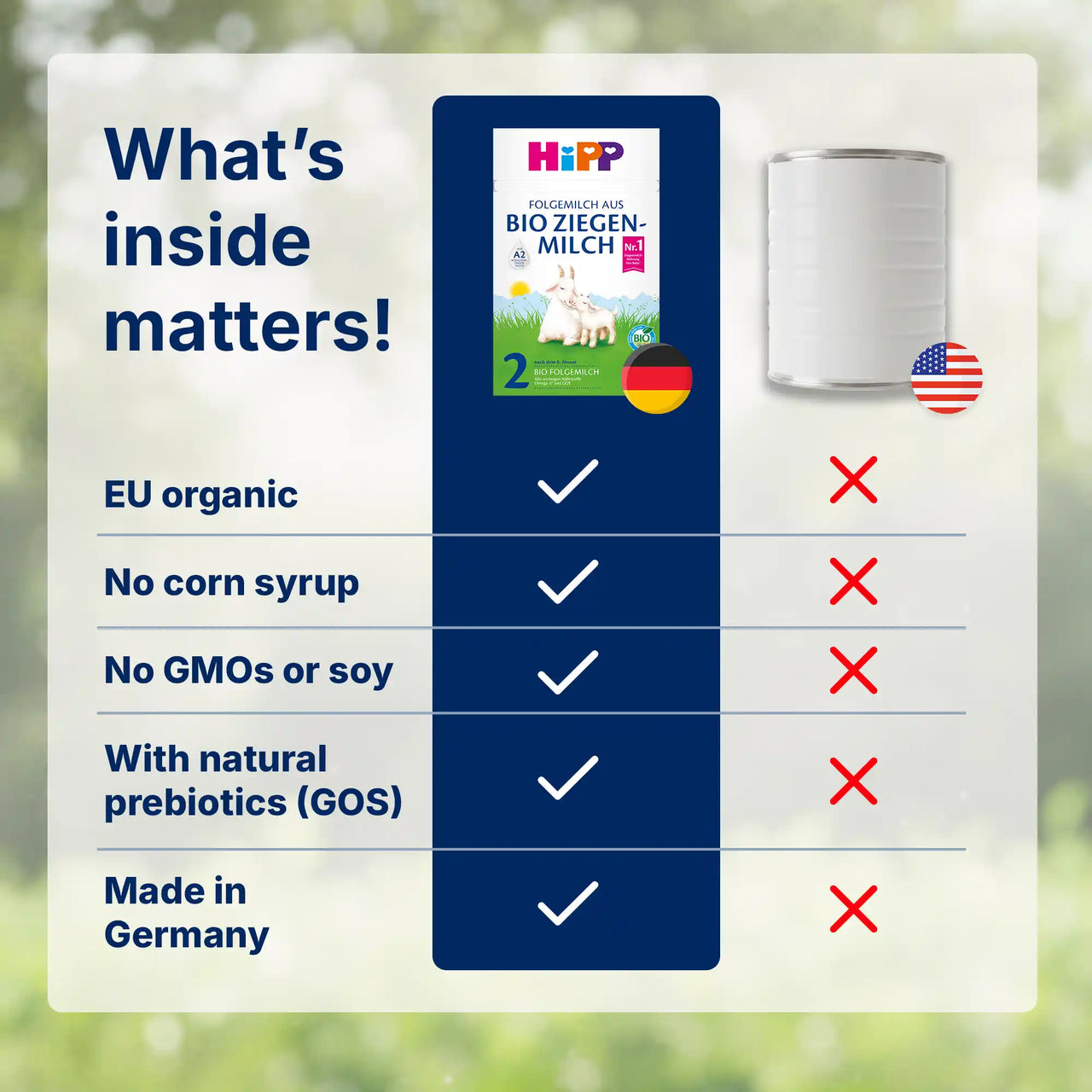 HiPP Goat Stage 2 – Organic Goat Milk Formula 6-12 months, German Version (400g)