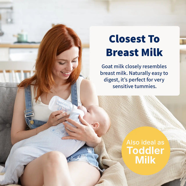 HiPP Goat Stage 2 – Organic Goat Milk Formula 6-12 months, German Version (400g)