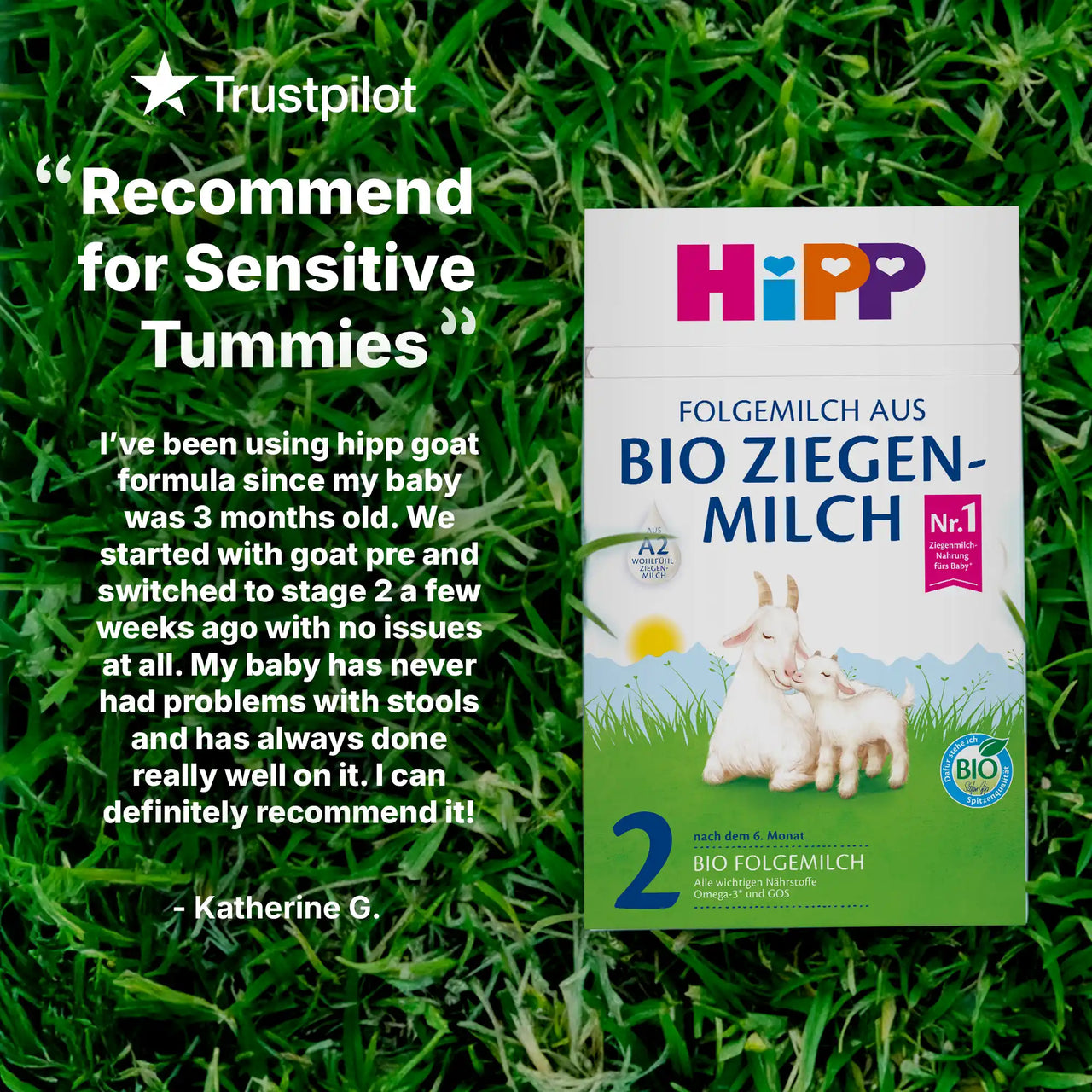 HiPP Goat Stage 2 – Organic Goat Milk Formula 6-12 months, German Version (400g)