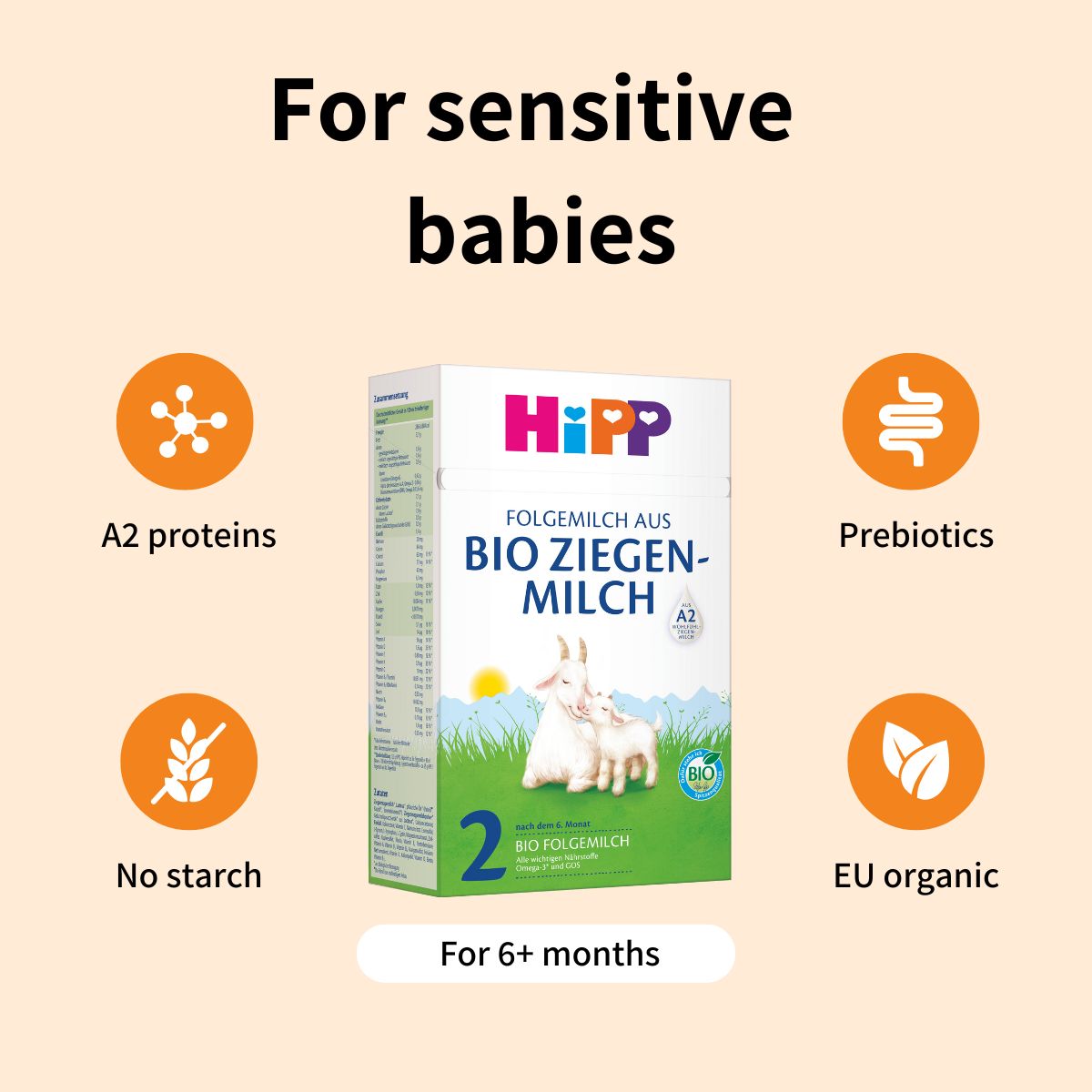 HiPP Goat Stage 2 – Organic Goat Milk Formula 6-12 months, German Version (400g)