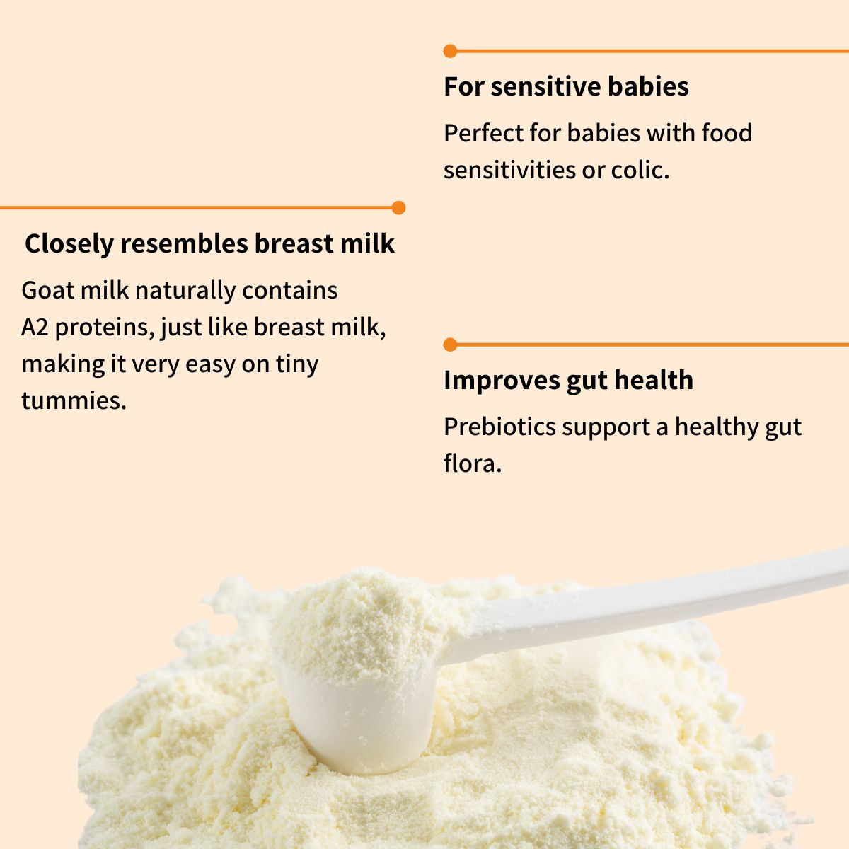 HiPP Goat Stage 2 – Organic Goat Milk Formula 6-12 months, German Version (400g)