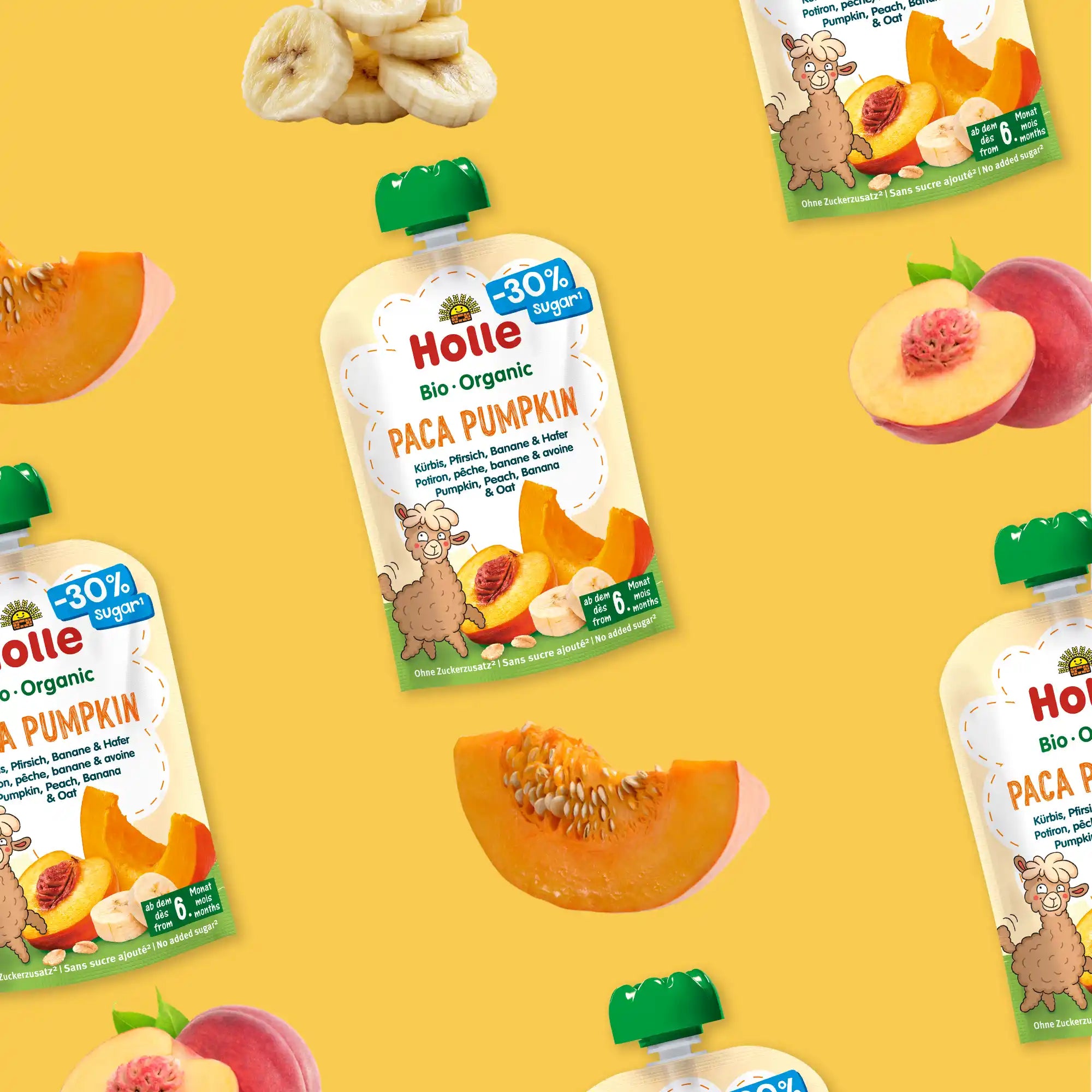 Holle Paca Pumpkin - Organic Veggie Pouches 6+ months (100g)