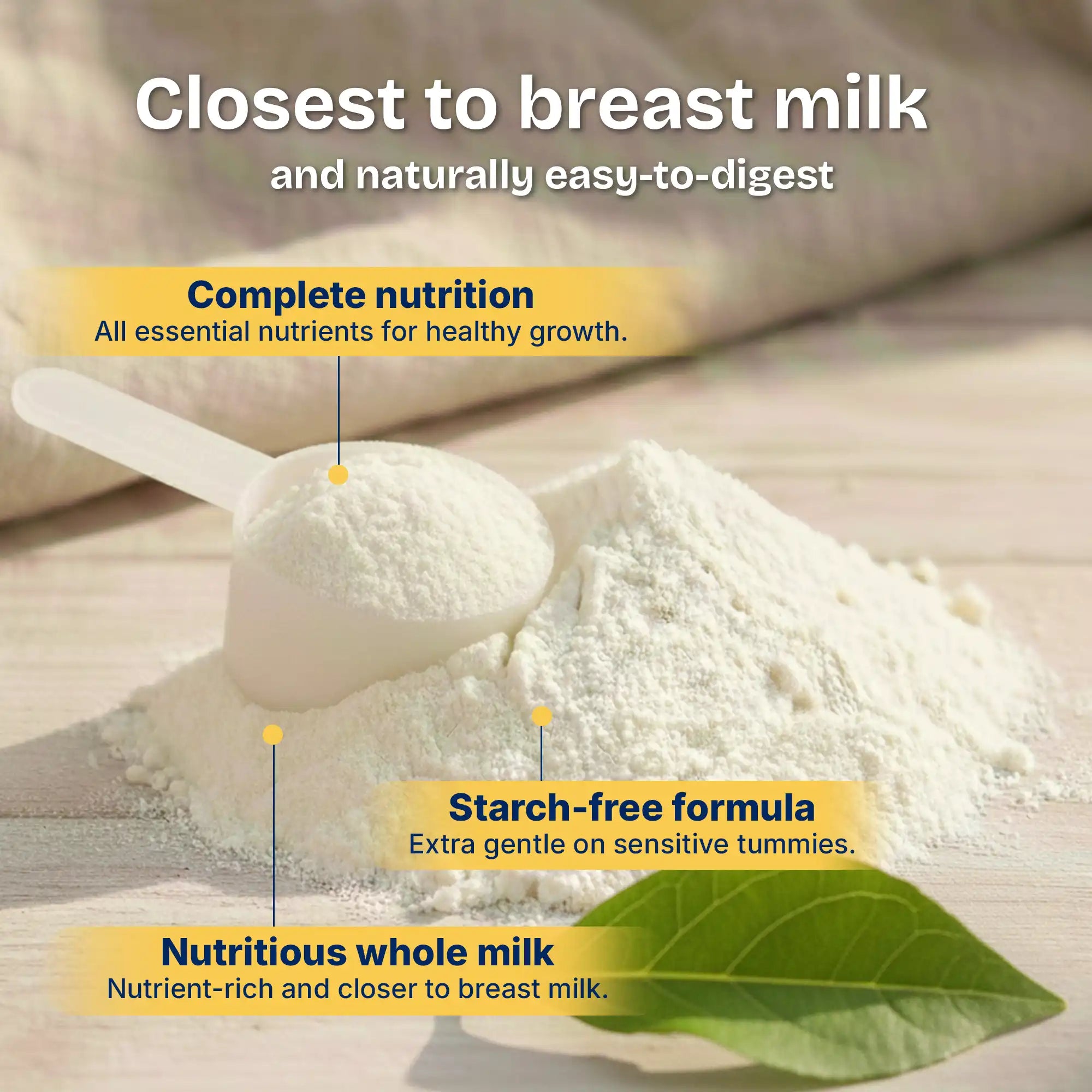 HiPP PUR Stage 1 – Organic Whole Milk Formula 0-6 months, German Version (500g)