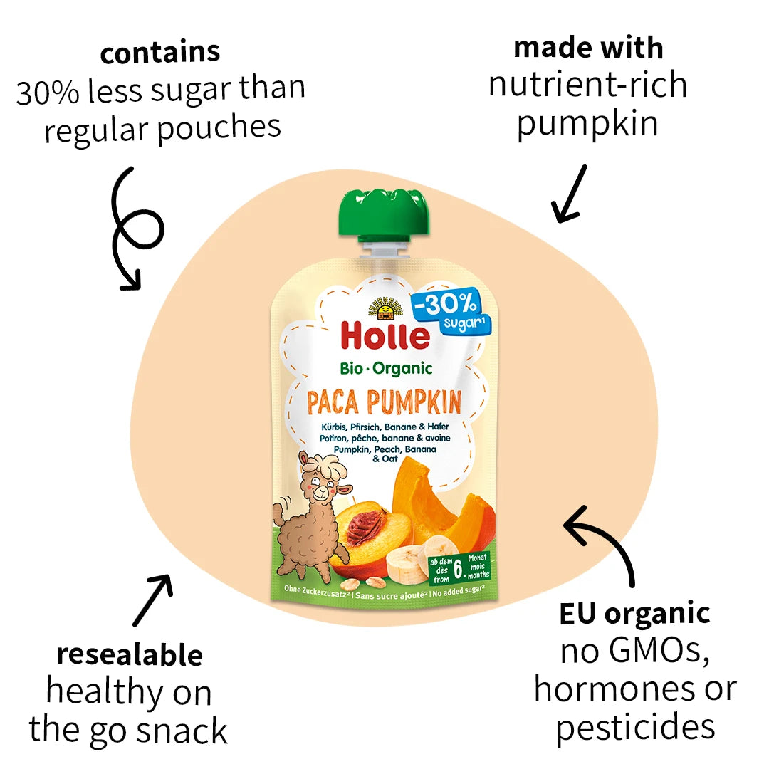 Holle Paca Pumpkin - Organic Veggie Pouches 6+ months (100g)